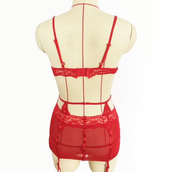 Lace Sexy Bra Cup and Panties Women Set NIT20 Price in Pakistan Inam.pk