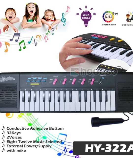 BigFun 61 Keys BF630A1 Electronic Piano Keyboard with LED Display & Microphone Price in