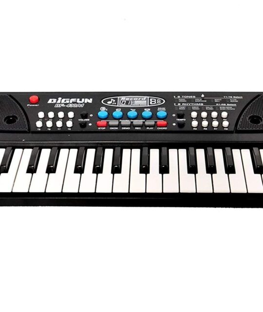 BigFun 61 Keys BF630A1 Electronic Piano Keyboard with LED Display & Microphone Price in